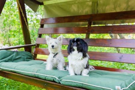 Poppelstrand Nuuksio, Pet Friendly Guest Apartment Экстерьер фото